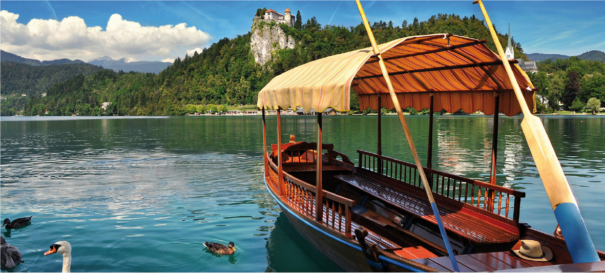 Summer 1 Bled Pletna